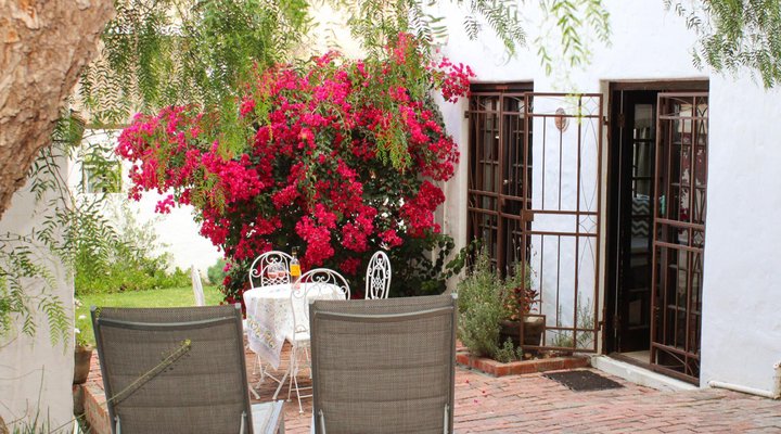 The Little Gem Montagu