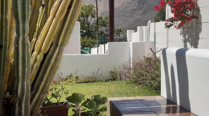 The Little Gem Montagu