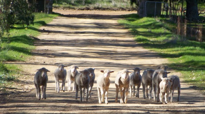 Willemsrivier Trekpad Guest Houses