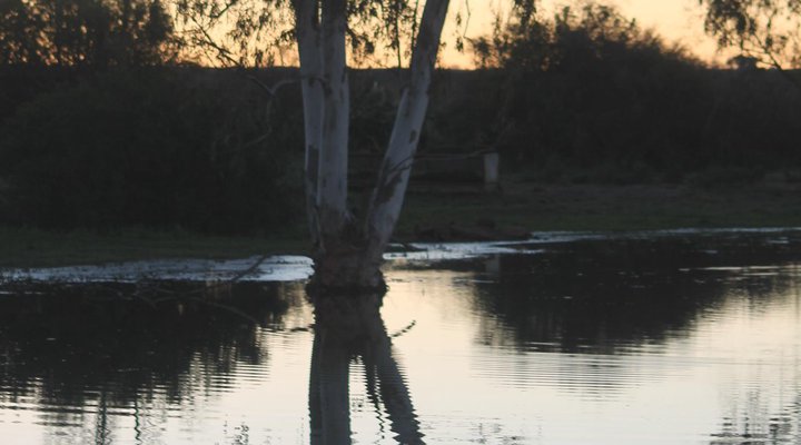 Willemsrivier Trekpad Guest Houses