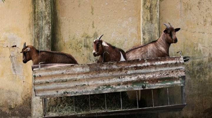 Willemsrivier Trekpad Guest Houses