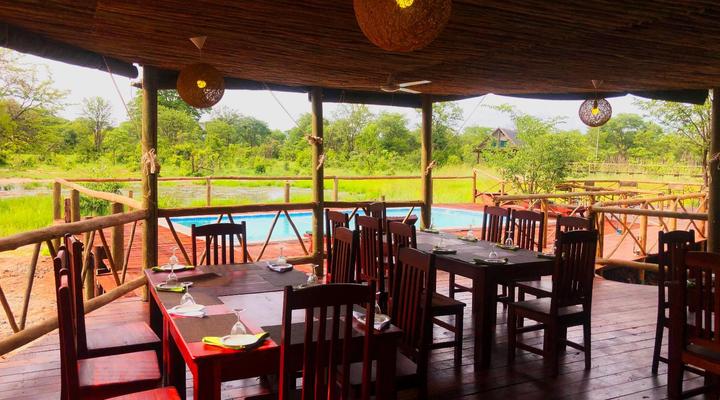 Chobe Mopani Forest Lodge