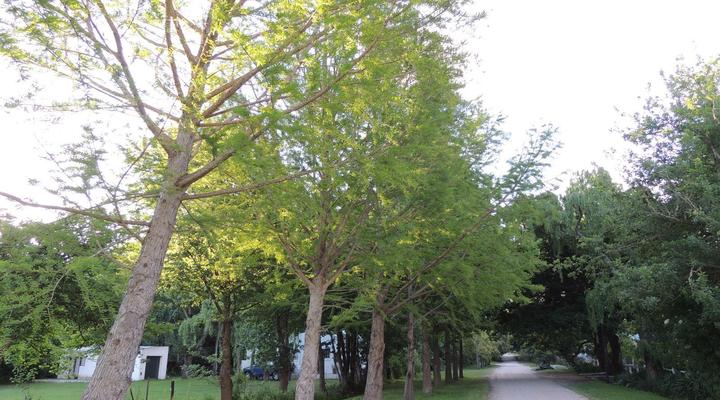 High Hopes Retreats and Guest House