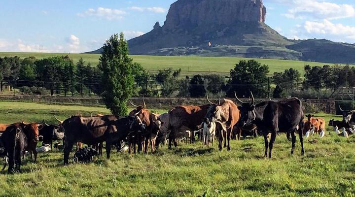 Riverview Country Inn