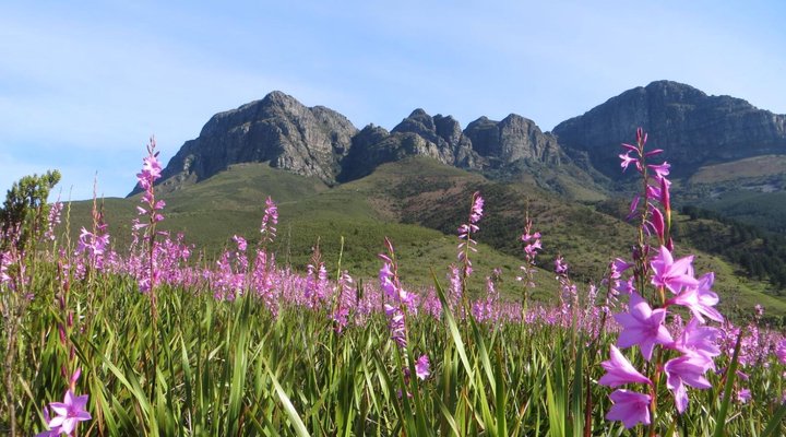 Lourens River Guest House