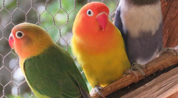 Langeberg Guest Lodge