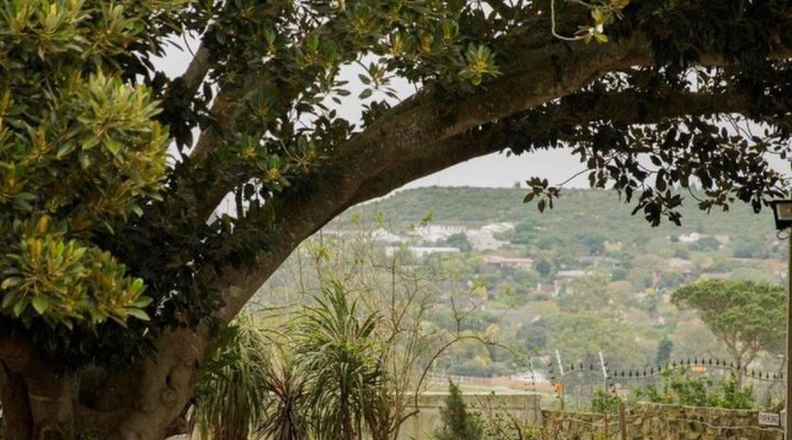 A White House Guest House