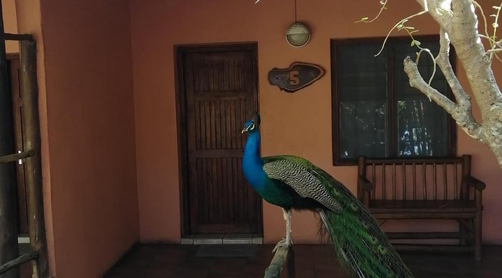 Umfolozi River Lodge and Bird Park