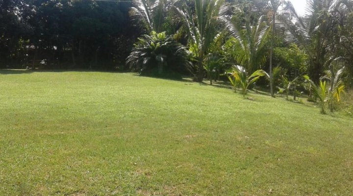 Umfolozi River Lodge and Bird Park