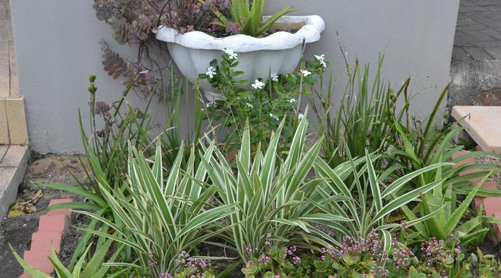 Driftsands Sea View Flats