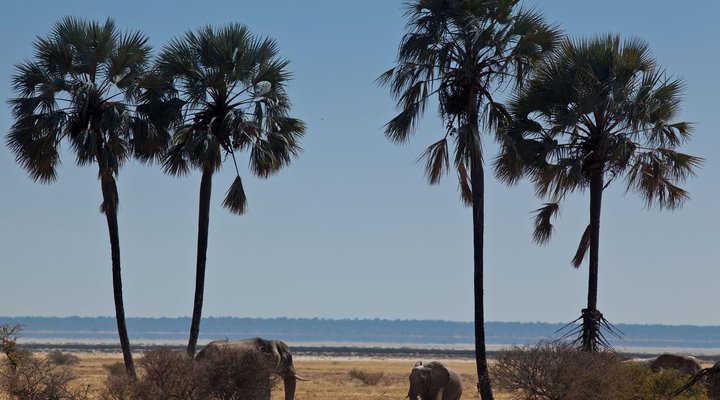 Mokuti Etosha Lodge