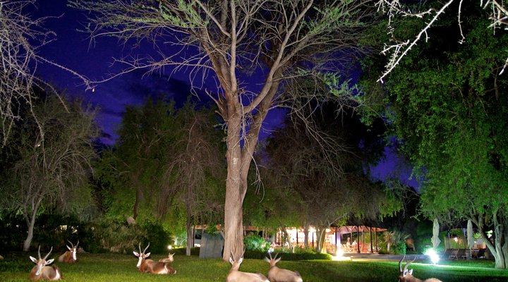 Mokuti Etosha Lodge