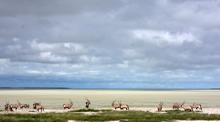 Mokuti Etosha Lodge