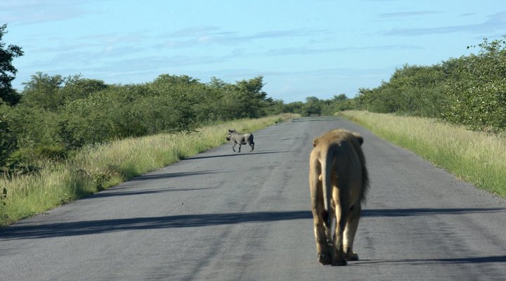 Mokuti Etosha Lodge