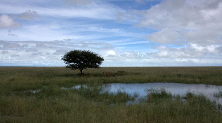 Mokuti Etosha Lodge