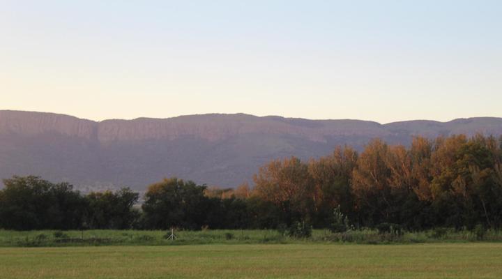 Little Swift Chalets