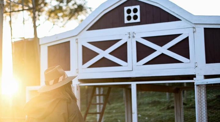 Buff and Fellow Eco Cabins