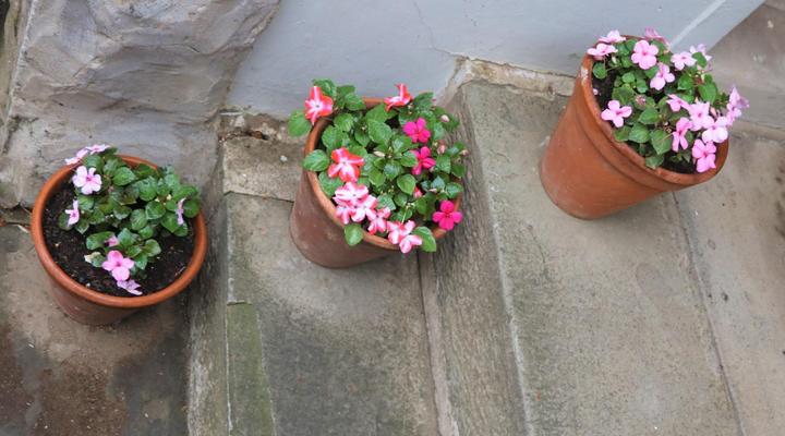 Lavender Lane Guest House