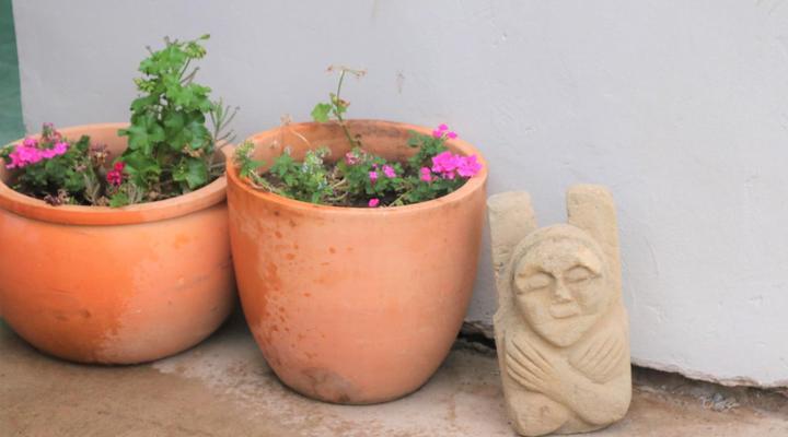 Lavender Lane Guest House