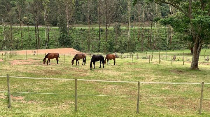 Cavalo Guest House and Equestrian Centre