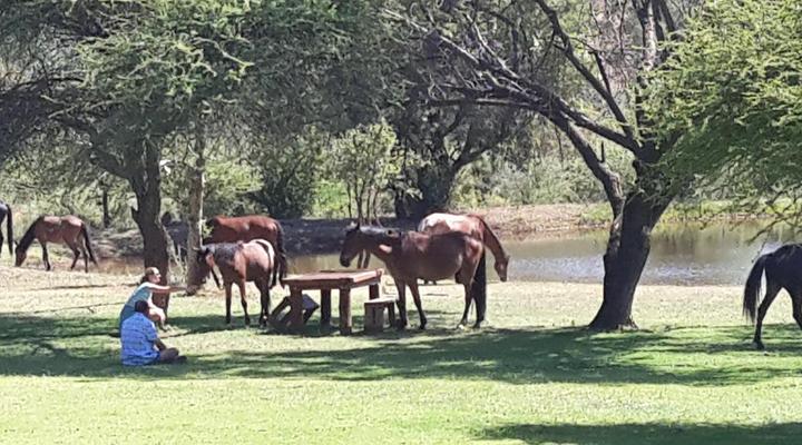 Thandile Country Lodge
