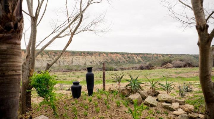 De Old Drift Guest Farm Addo