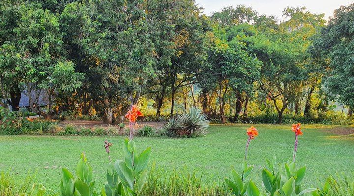 Hamilton Parks Country Lodge