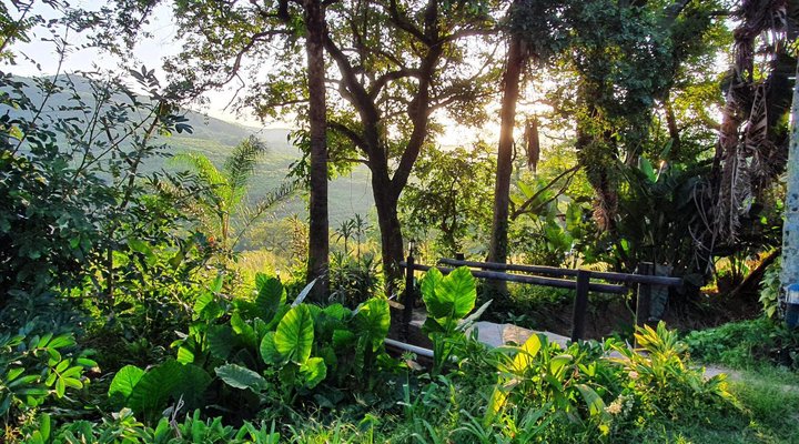 Hamilton Parks Country Lodge