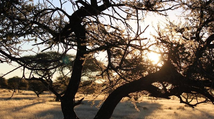 Lodule Boutique Camping