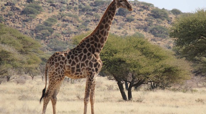 Lodule Boutique Camping