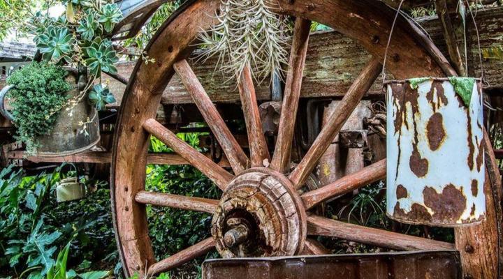 Morning Glory Cottages