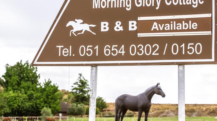 Morning Glory Cottages