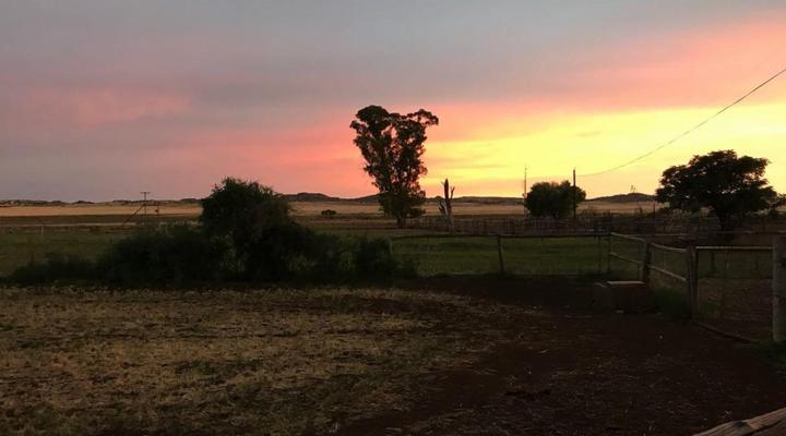 Morning Glory Cottages