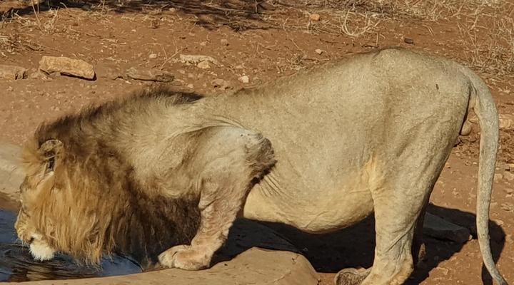 Rio Dos Elefantes River Lodge