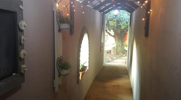 Clydesdale on Lions River