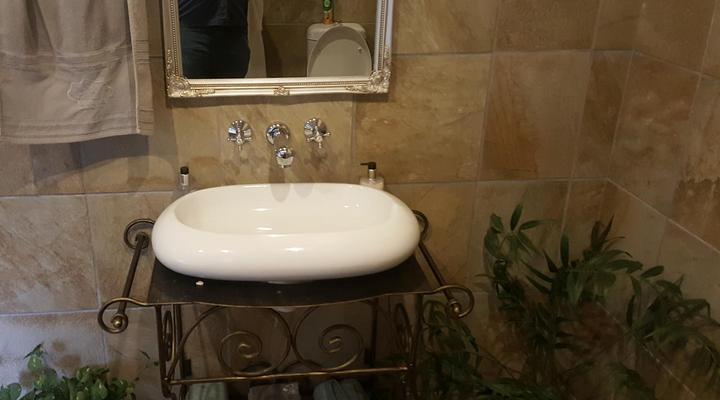 Clydesdale on Lions River