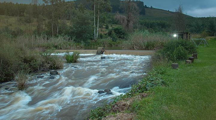 Clydesdale on Lions River