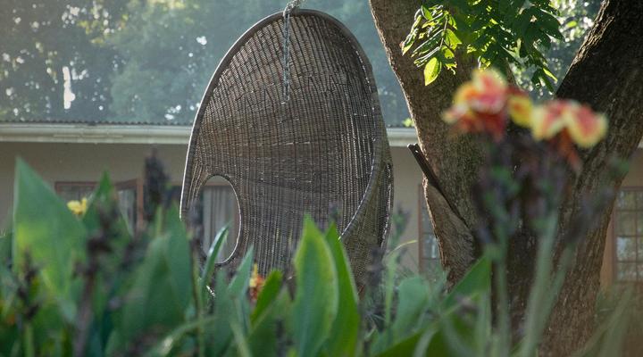 Clydesdale on Lions River
