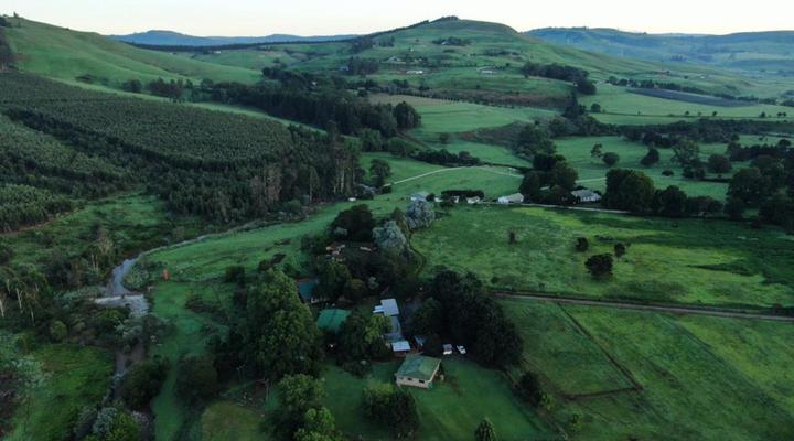 Clydesdale on Lions River