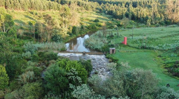 Clydesdale on Lions River