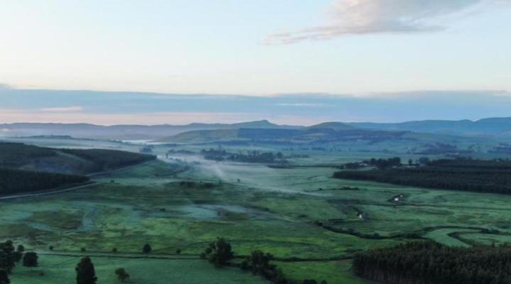 Clydesdale on Lions River