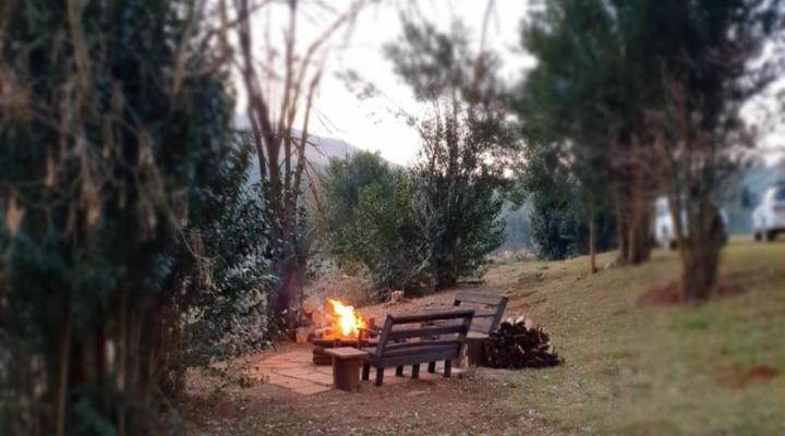 Clydesdale on Lions River