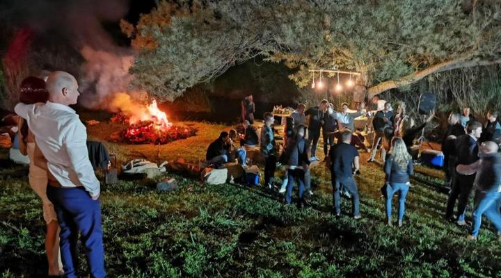 Clydesdale on Lions River