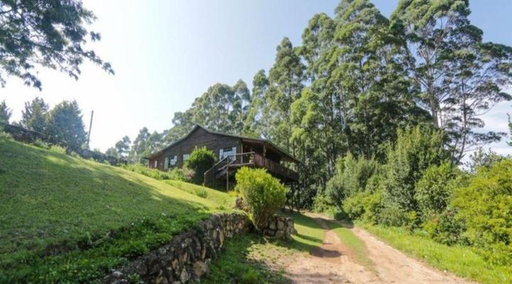 Mountain Fly Fishing