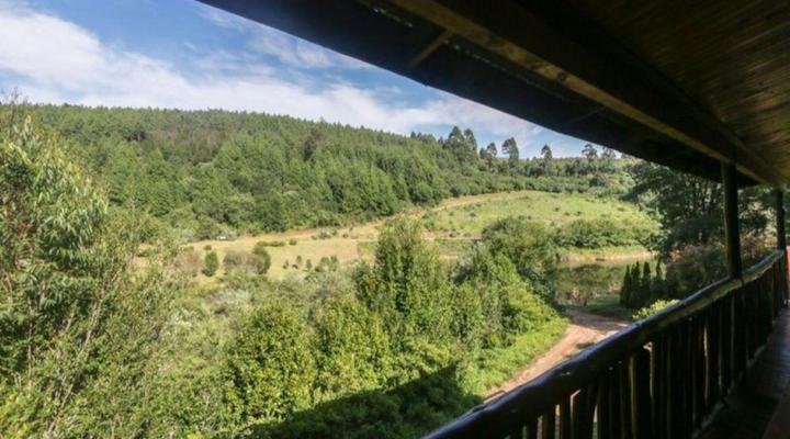 Mountain Fly Fishing