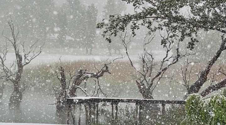 RiverWalk Bed and Breakfast