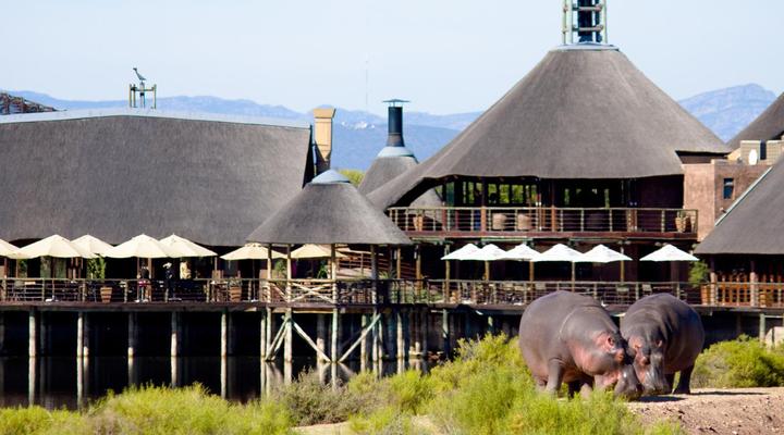 Buffelsdrift Game Lodge