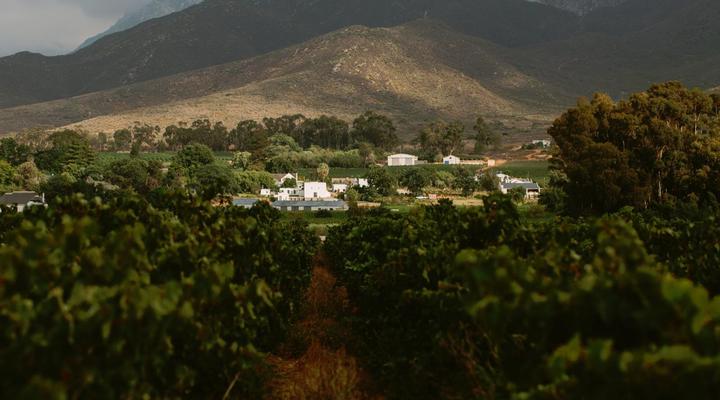 Leipzig Country House