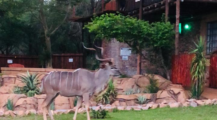 Migrate Kruger View Apartments