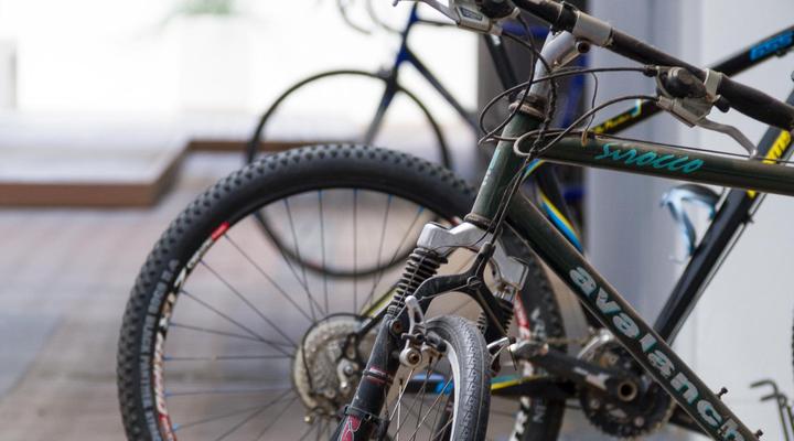 Quiver Tree Self-Catering Apartments